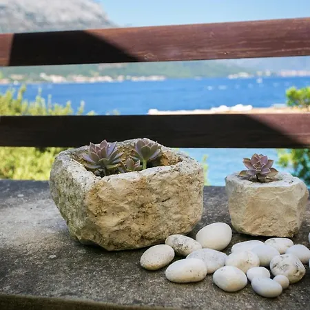 Leda Lägenhet Medvinjak
