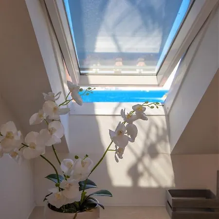 Apartamento Leda *
