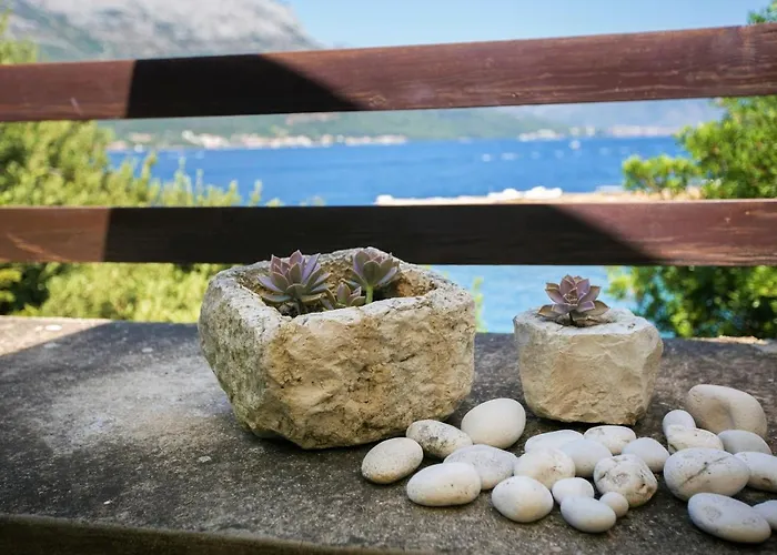 Leda Апартаменты Medvinjak